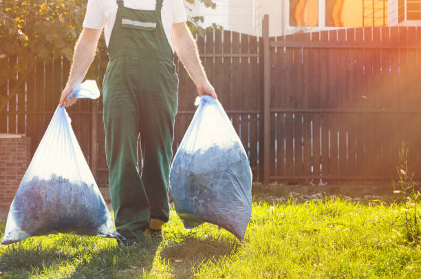 Best Attic Cleanout  in La Vista, NE